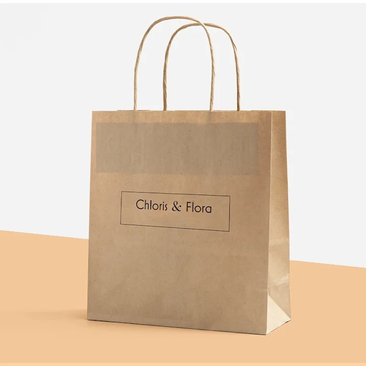 Custom Printed Kraft Paper Bags