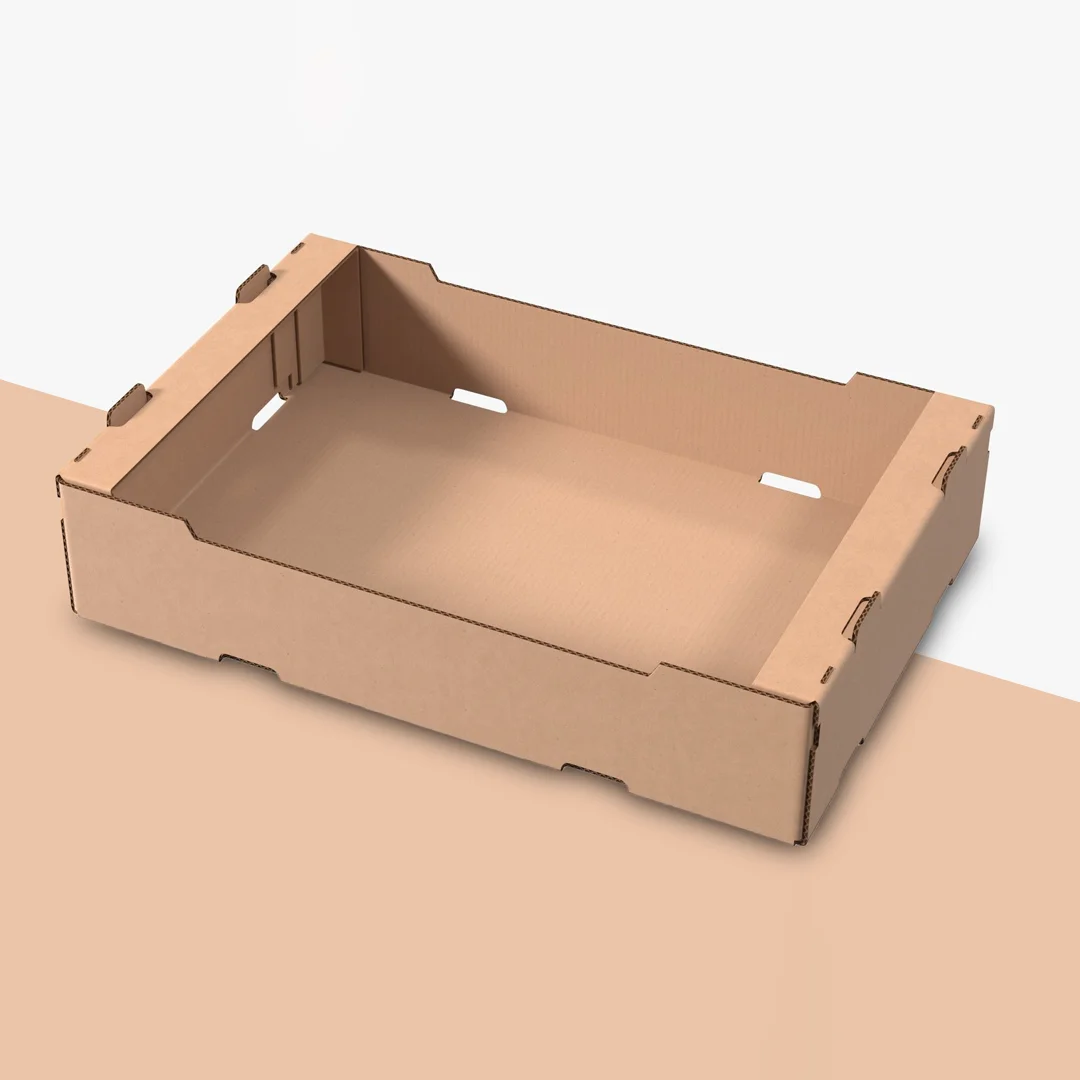 Premium Bakery Trays for Cakes & Pastries