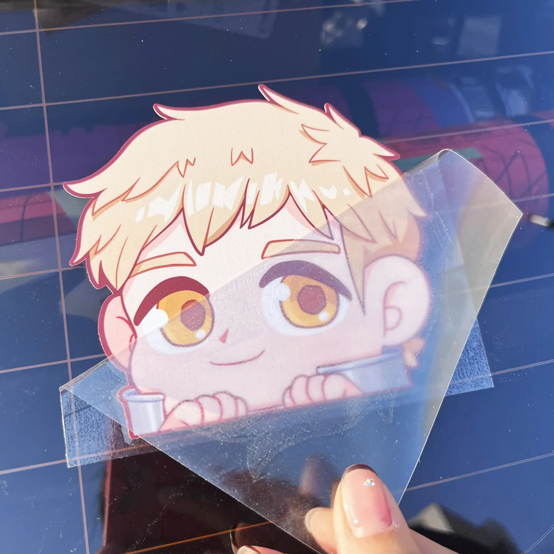 Printed Transfer Stickers