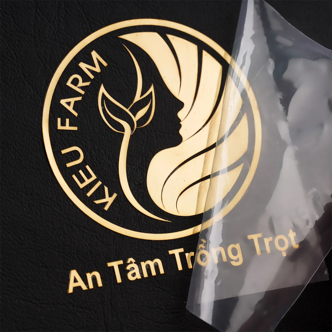 Transfer Vinyl Stickers